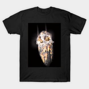 Hot head T-Shirt